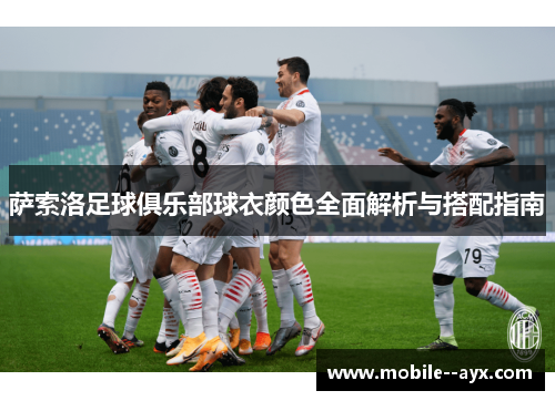 萨索洛足球俱乐部球衣颜色全面解析与搭配指南