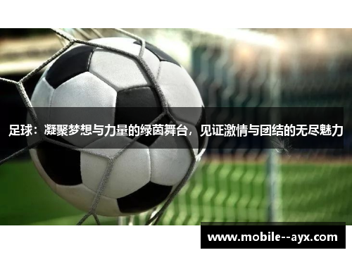 足球：凝聚梦想与力量的绿茵舞台，见证激情与团结的无尽魅力