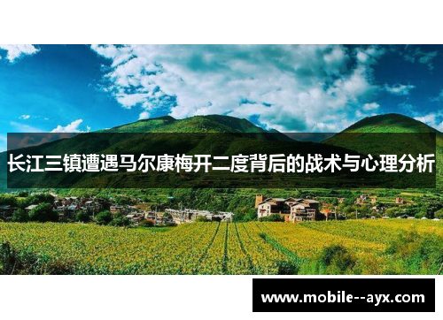 长江三镇遭遇马尔康梅开二度背后的战术与心理分析