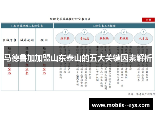 马德鲁加加盟山东泰山的五大关键因素解析 马德鲁加加盟山东泰山的五大关键因素解析