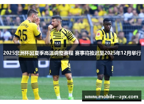 2025非洲杯因夏季高温调整赛程 赛事将推迟至2025年12月举行 2025非洲杯因夏季高温调整赛程 赛事将推迟至2025年12月举行
