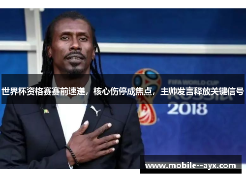 世界杯资格赛赛前速递,核心伤停成焦点,主帅发言释放关键信号 世界杯资格赛赛前速递,核心伤停成焦点,主帅发言释放关键信号