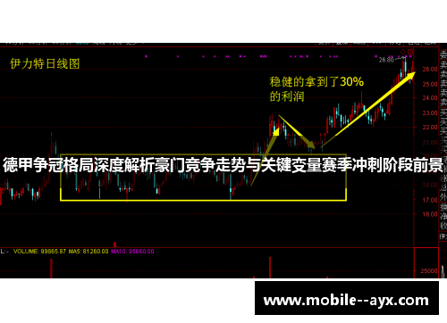 德甲争冠格局深度解析豪门竞争走势与关键变量赛季冲刺阶段前景