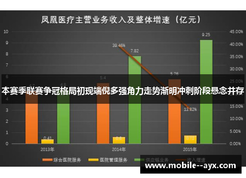 本赛季联赛争冠格局初现端倪多强角力走势渐明冲刺阶段悬念并存